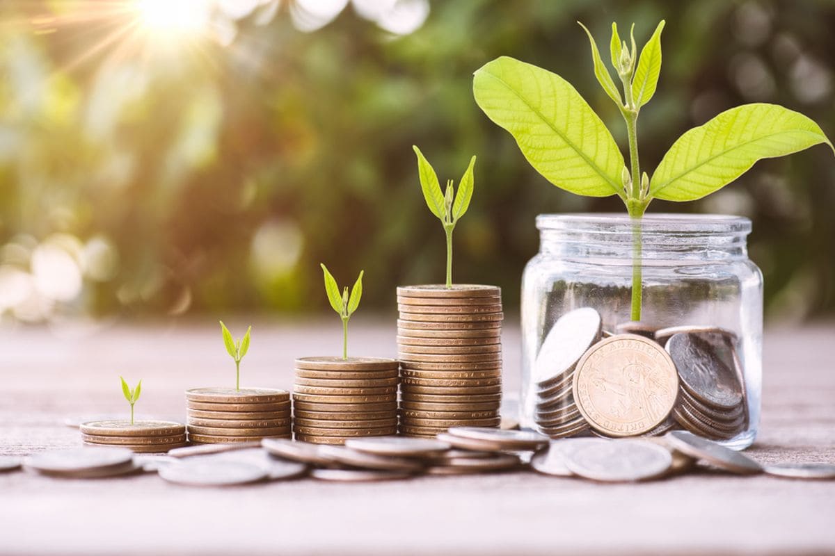 Investasi untuk Pemula, Cara Cerdas Mengembangkan