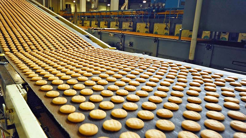 Conveyor untuk Makanan, dalam Industri Pengolahan Makanan