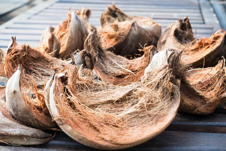 Teknologi Modern Pengolahan Limbah Sabut Kelapa