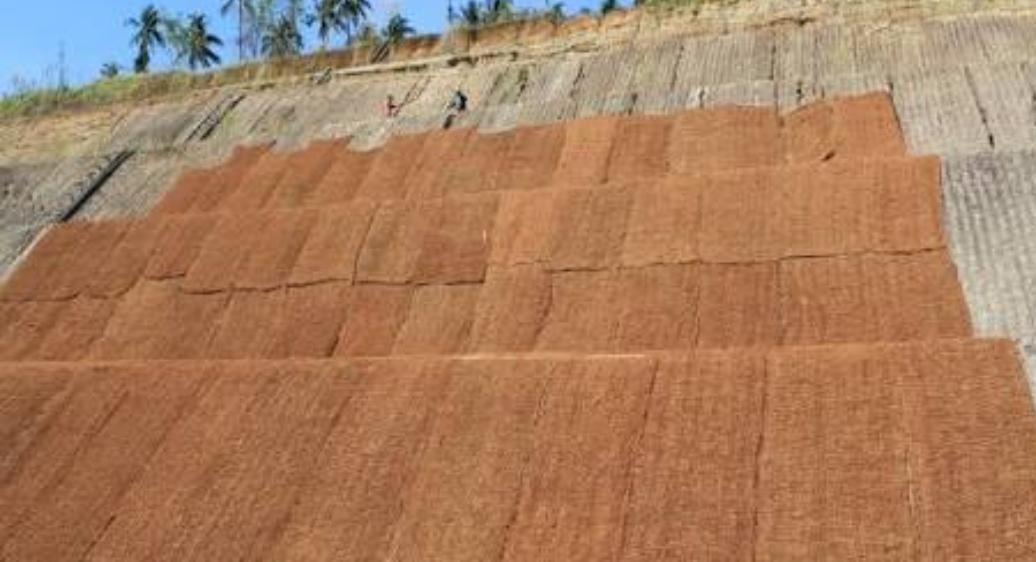 Cocomesh Lereng Bukit Solusi Alami Pencegah Erosi dan Longsor
