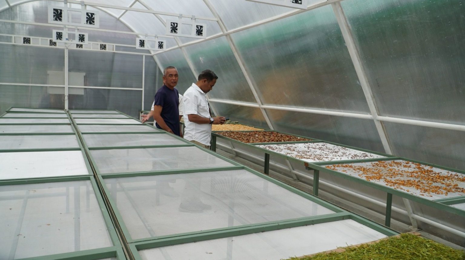 Solusi Pengeringan Hasil Produksi Optimal