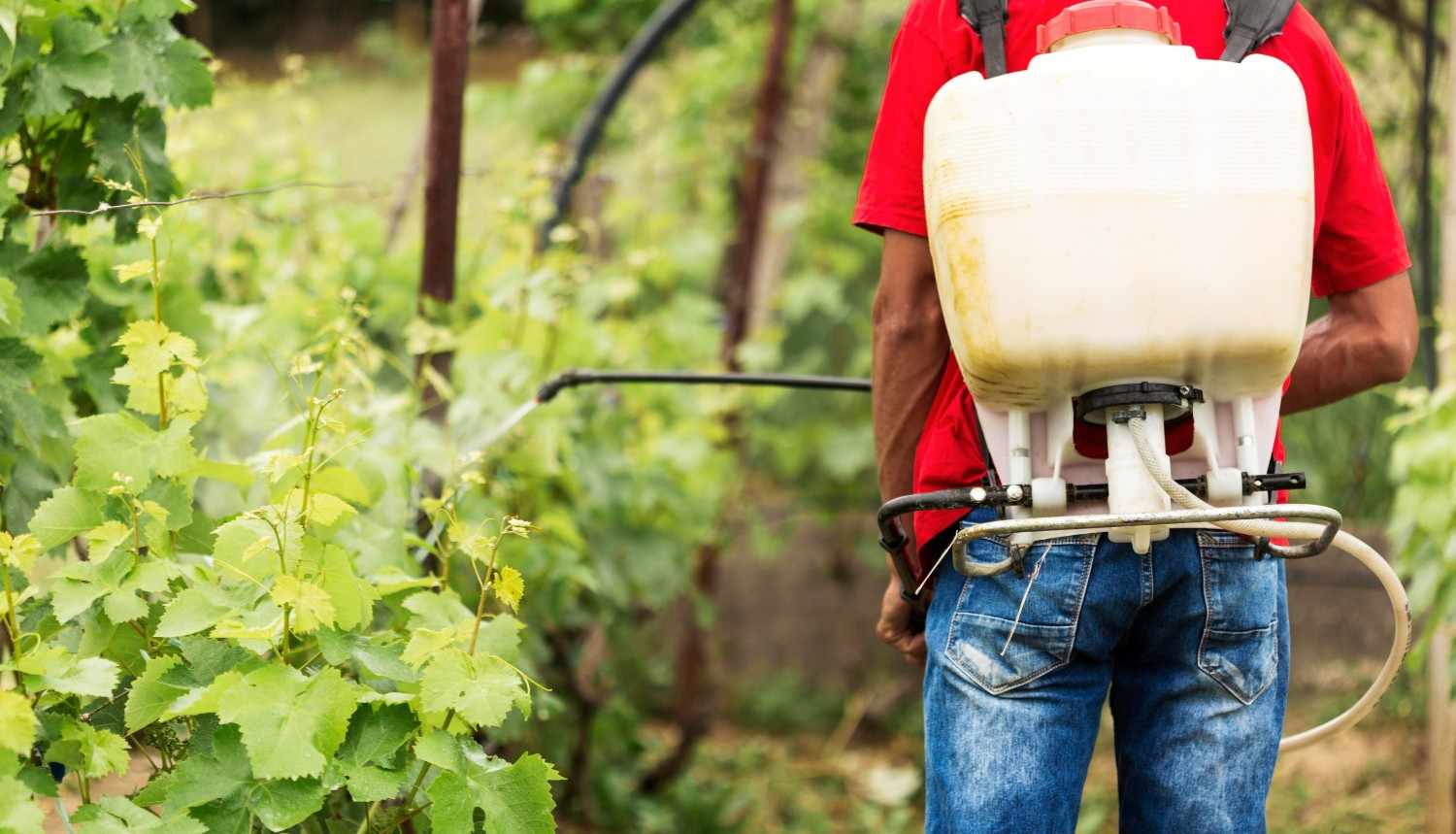 Manfaat Hand Sprayer Elektrik untuk Pertanian Modern