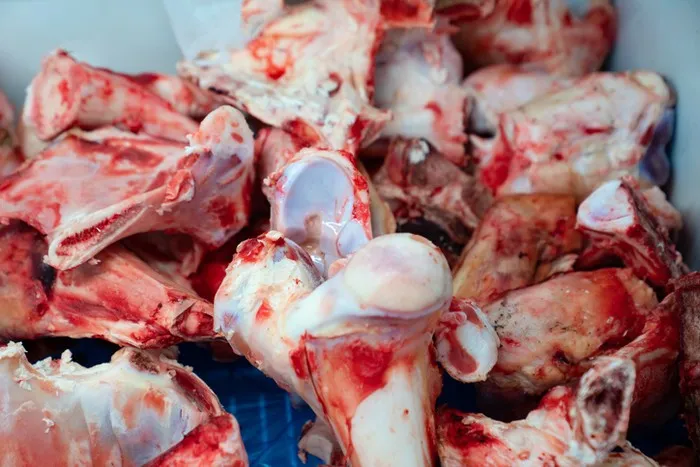 Cara Memotong Tulang Sapi Kurban