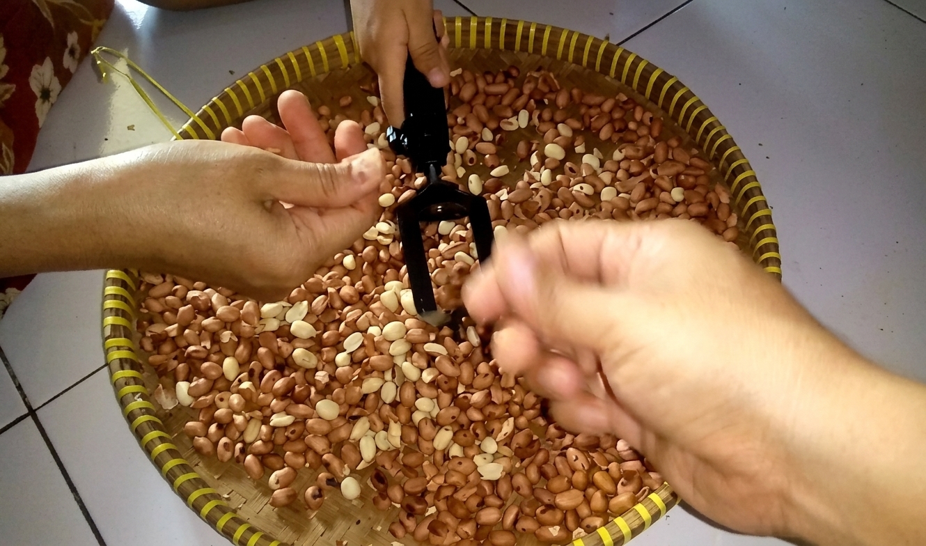 Tips Mengupas Kacang Tanah agar Lebih Cepat dan Praktis
