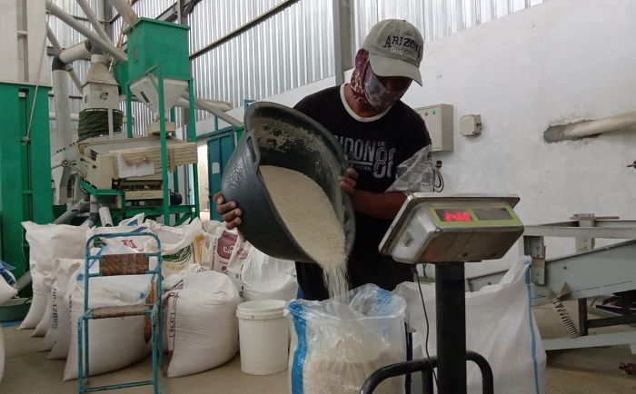 Perubahan Kualitas Beras Setelah Digiling yang Perlu Diperhatikan