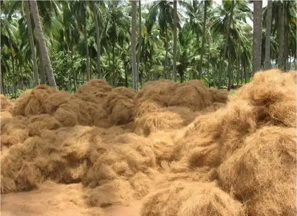 Pemanfaatan Serat Sabut Kelapa untuk Geotekstil